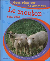 Le mouton tout doux